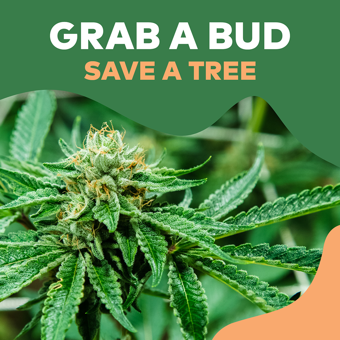 Grab a bud, Save a tree 